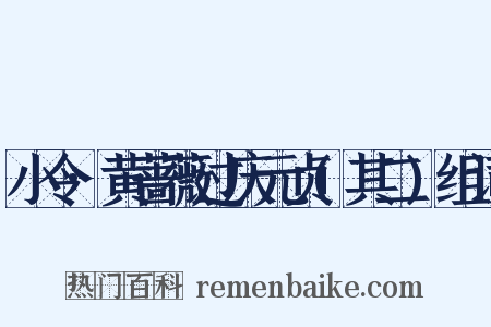 小令·黄蔷薇过庆元贞(其二)组词是什么意思的图片